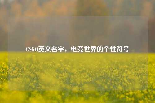 CSGO英文名字，电竞世界的个性符号