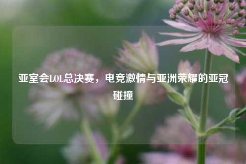 亚室会LOL总决赛,电竞激情与亚洲荣耀的亚冠碰撞