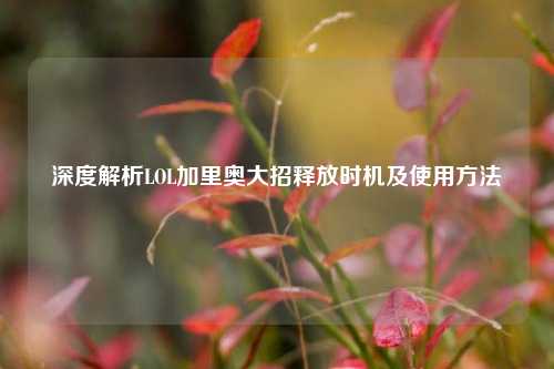 深度解析LOL加里奥大招释放时机及使用方法