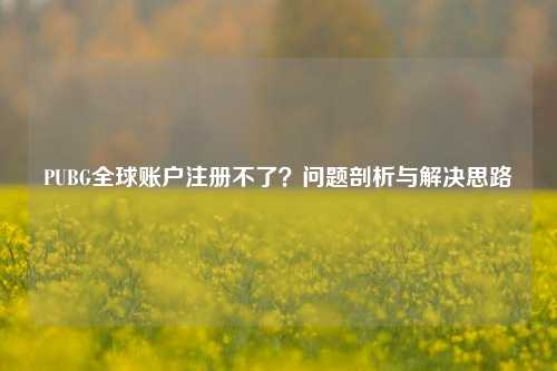 PUBG全球账户注册不了？问题剖析与解决思路