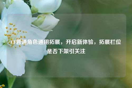 CF普通角色通用拓展，开启新体验，拓展栏位是否下架引关注
