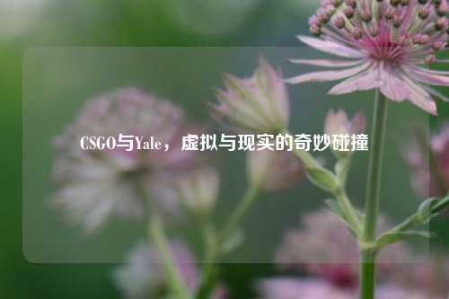 CSGO与Yale,虚拟与现实的奇妙碰撞