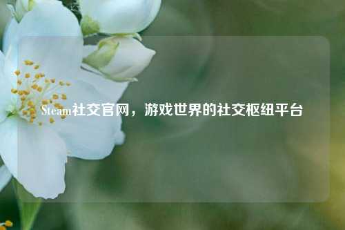 Steam社交官网,游戏世界的社交枢纽平台