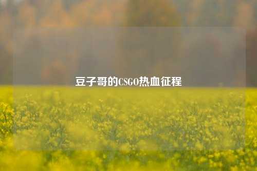 豆子哥的CSGO热血征程