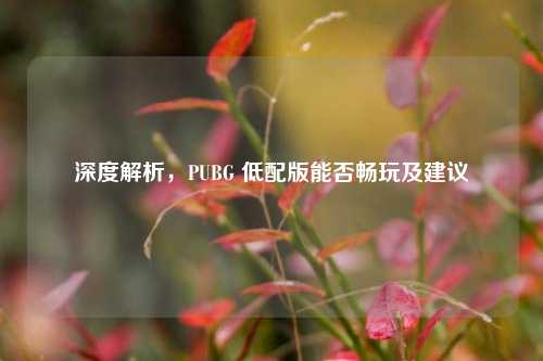 深度解析，PUBG 低配版能否畅玩及建议