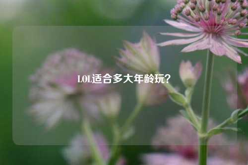 LOL适合多大年龄玩?
