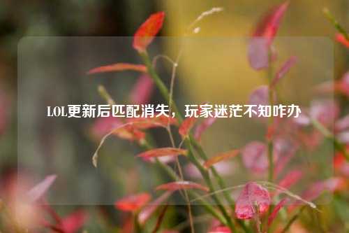 LOL更新后匹配消失，玩家迷茫不知咋办