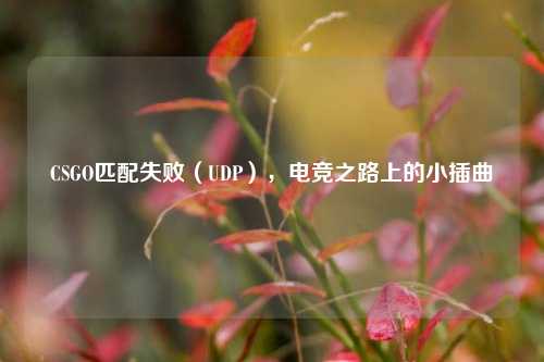 CSGO匹配失败(UDP),电竞之路上的小插曲