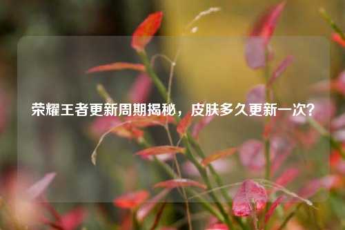 荣耀王者更新周期揭秘,皮肤多久更新一次?