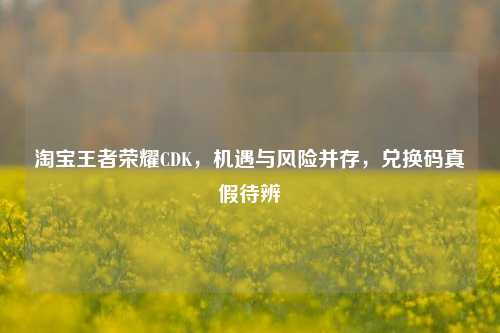 淘宝王者荣耀CDK,机遇与风险并存,兑换码真假待辨