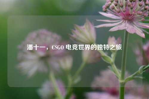 潘十一,CSGO 电竞世界的独特之旅