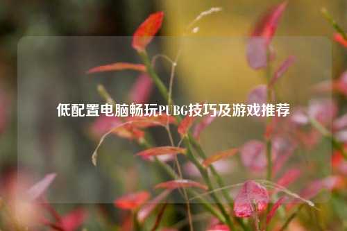 低配置电脑畅玩PUBG技巧及游戏推荐