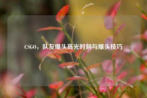 CSGO，队友爆头高光时刻与爆头技巧