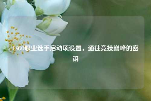 CSGO职业选手启动项设置，通往竞技巅峰的密钥