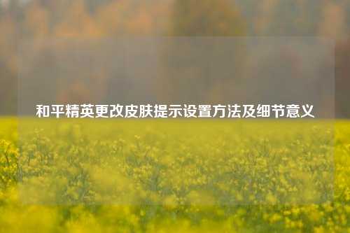 和平精英更改皮肤提示设置方法及细节意义
