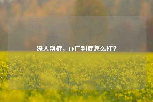 深入剖析,CF厂到底怎么样?