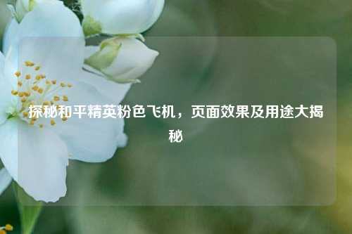 探秘和平精英粉色飞机，页面效果及用途大揭秘