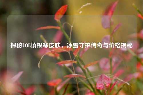 探秘LOL慎极寒皮肤,冰雪守护传奇与价格揭秘