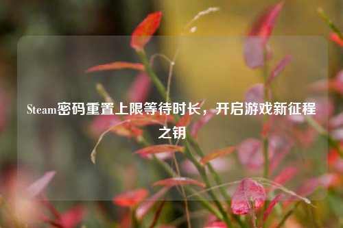Steam密码重置上限等待时长,开启游戏新征程之钥