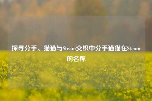 探寻分手、猫猫与Steam交织中分手猫猫在Steam的名称