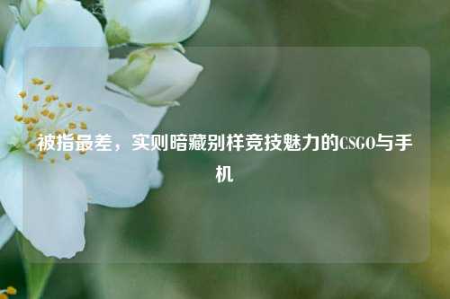 被指最差,实则暗藏别样竞技魅力的CSGO与手机