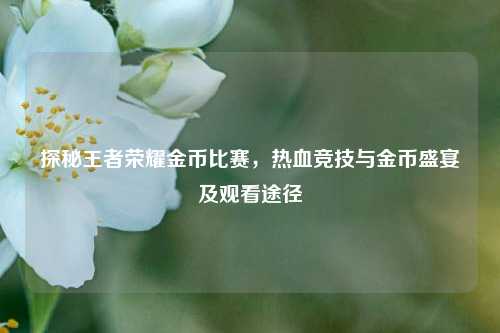 探秘王者荣耀金币比赛，热血竞技与金币盛宴及观看途径