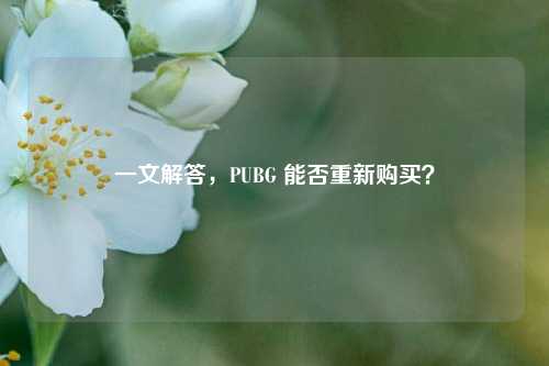 一文解答，PUBG 能否重新购买？