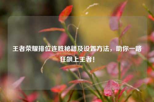 王者荣耀排位连胜秘籍及设置方法，助你一路狂飙上王者！