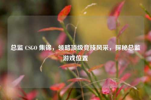 总监 CSGO 集锦，领略顶级竞技风采，探秘总监游戏位置