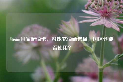 Steam国家储值卡，游戏充值新选择，国区还能否使用？