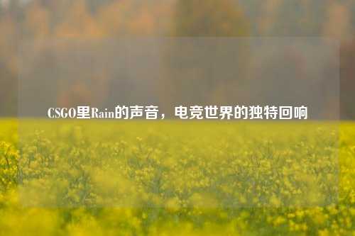 CSGO里Rain的声音,电竞世界的独特回响