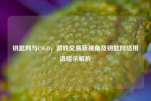 钥匙网与CSGO，游戏交易新视角及钥匙网络用语暗示解析