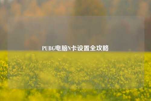 PUBG电脑N卡设置全攻略