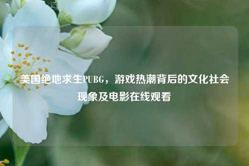 美国绝地求生PUBG,游戏热潮背后的文化社会现象及电影在线观看