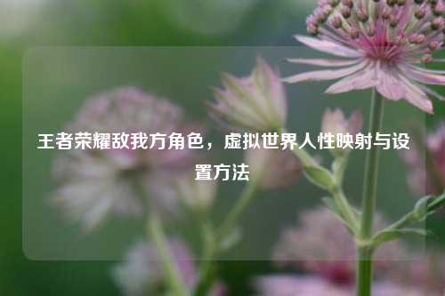 王者荣耀敌我方角色，虚拟世界人性映射与设置方法