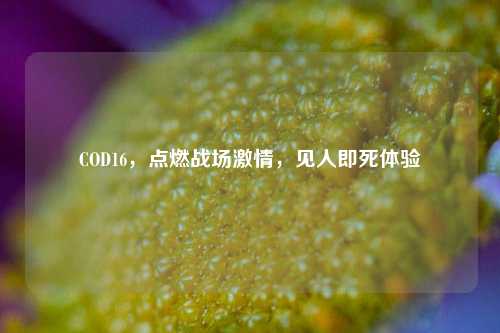 COD16,点燃战场激情,见人即死体验