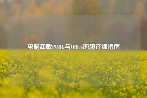 电脑卸载PUBG与Office的超详细指南