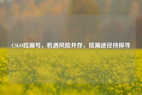 CSGO捡漏号，机遇风险并存，捡漏途径待探寻