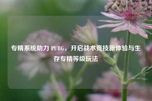 专精系统助力 PUBG，开启战术竞技新体验与生存专精等级玩法