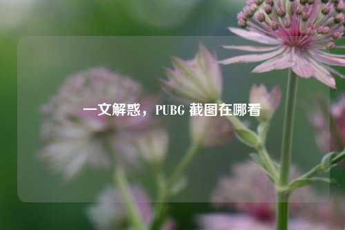 一文解惑，PUBG 截图在哪看