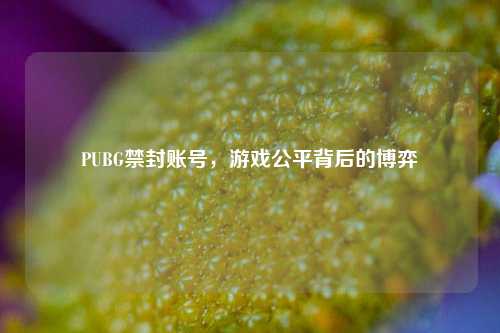 PUBG禁封账号，游戏公平背后的博弈