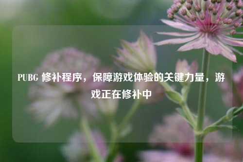 PUBG 修补程序，保障游戏体验的关键力量，游戏正在修补中