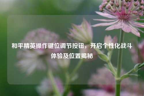 和平精英操作键位调节按钮，开启个性化战斗体验及位置揭秘