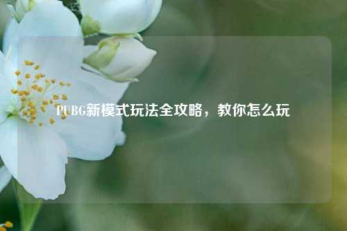 PUBG新模式玩法全攻略，教你怎么玩