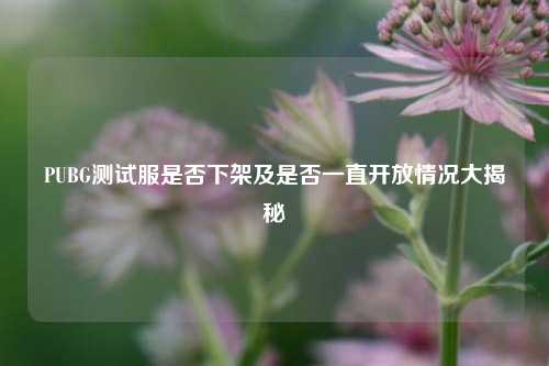 PUBG测试服是否下架及是否一直开放情况大揭秘