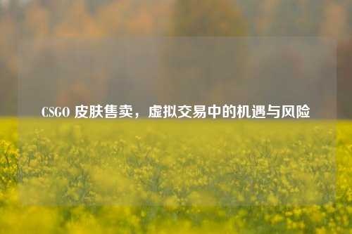 CSGO 皮肤售卖，虚拟交易中的机遇与风险