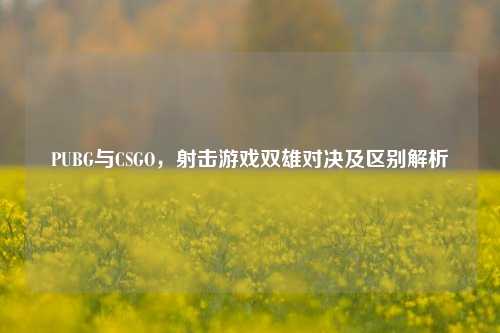 PUBG与CSGO，射击游戏双雄对决及区别解析