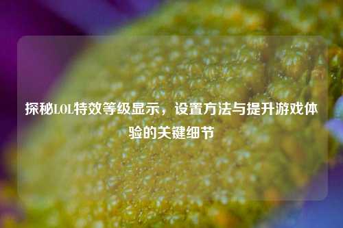 探秘LOL特效等级显示，设置方法与提升游戏体验的关键细节