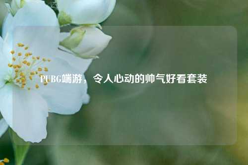 PUBG端游，令人心动的帅气好看套装