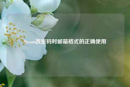 Steam改密码时邮箱格式的正确使用